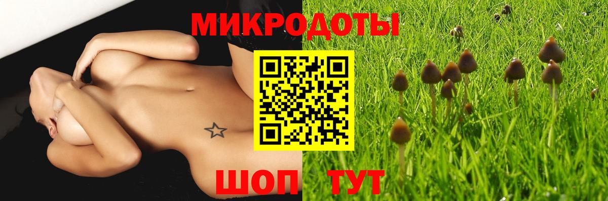 Галлюциногенные грибы Psilocybe  Вход с VPN  Тюмень 